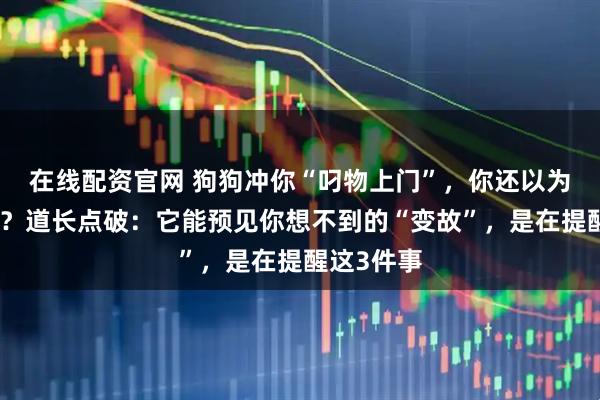 在线配资官网 狗狗冲你“叼物上门”，你还以为只是贪玩？道长点破：它能预见你想不到的“变故”，是在提醒这3件事